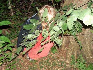 2006 Orlice