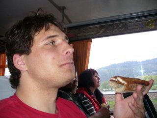 2008 Orava