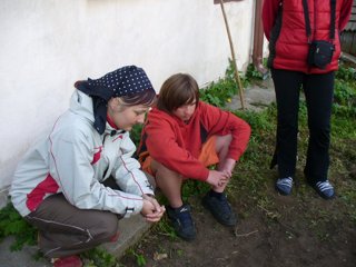 2008 Orava