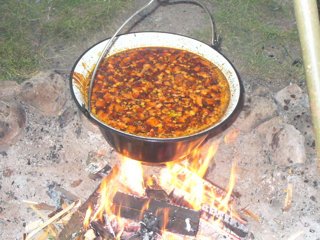 2008 Orava