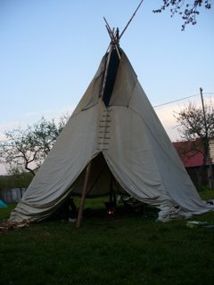 2008 Orava