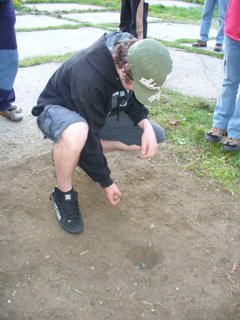 2008 Orava