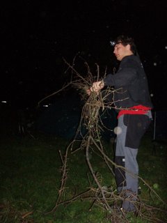 2008 Orava