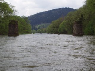 2008 Orava