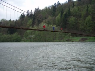 2008 Orava