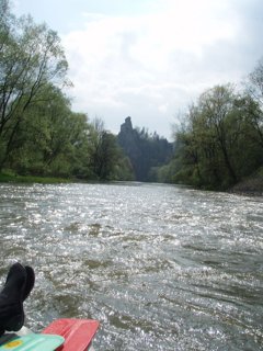 2008 Orava