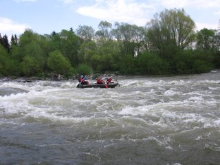 2008 Orava