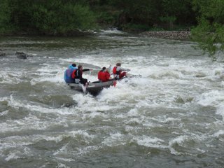 2008 Orava