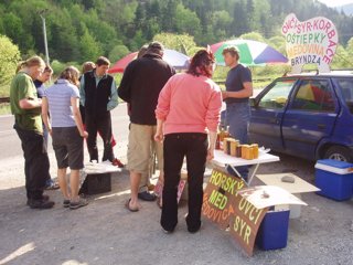 2008 Orava
