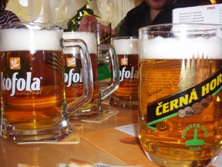 2008 Orava