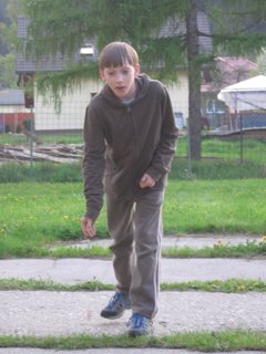 2008 Orava