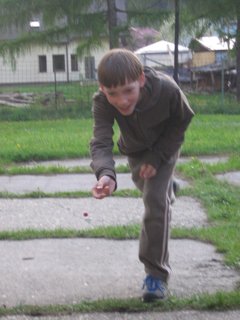 2008 Orava