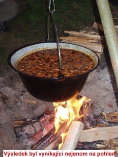 2008 Orava
