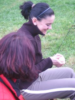 2008 Orava