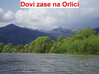 2008 Orava