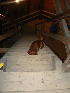 2008 Orlice
