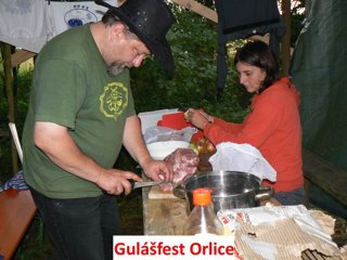 2008 Orlice