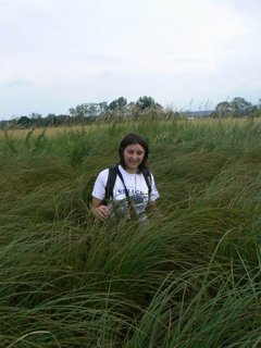 2008 Orlice