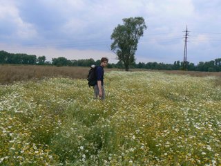 2008 Orlice