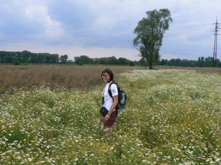 2008 Orlice
