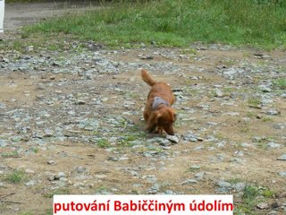 2008 Orlice