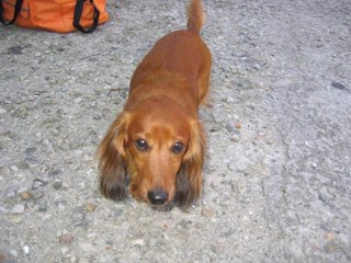 2008 Orlice