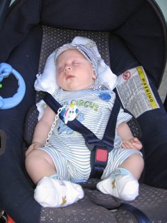 2008 Orlice