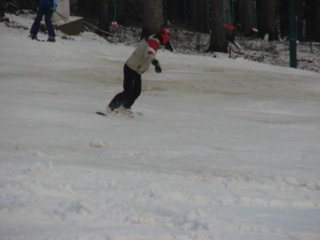 2008 Polanka