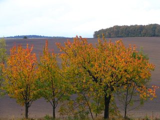 2009 Morava