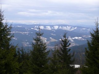 2009 Polanka