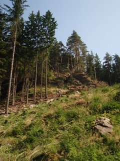 2010 Orlice