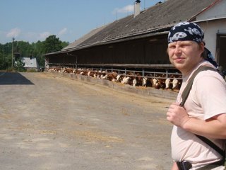 2010 Orlice