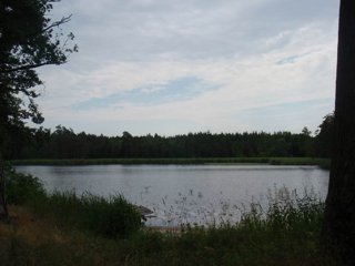 2010 Orlice