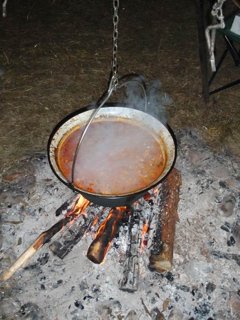 2010 Orlice
