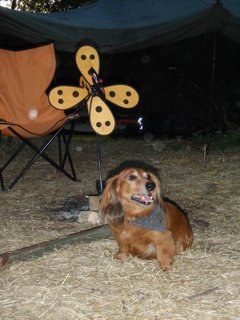 2010 Orlice