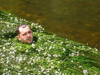 2010 Orlice