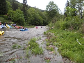 2011 jarní Orlice