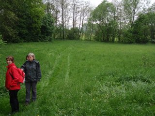 2011 jarní Orlice
