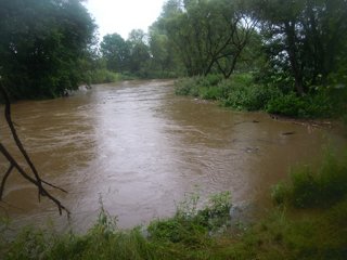 2011 Orlice