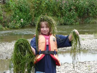 2011 Orlice