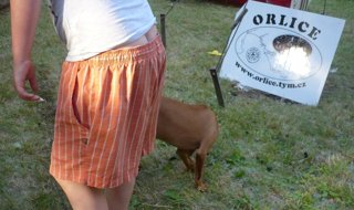 2011 Orlice