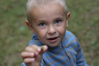 2013 Orlice