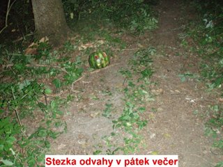 2014 Orlice