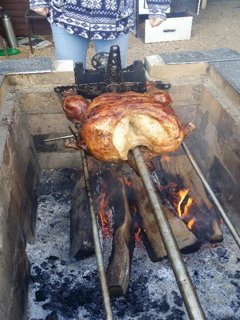 2015 jarní Orlice