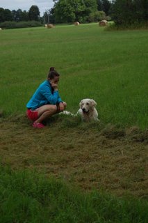 2016 Orlice