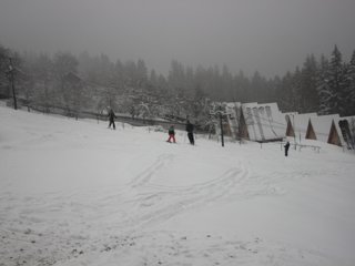 2016 Polanka