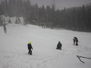 2016 Polanka