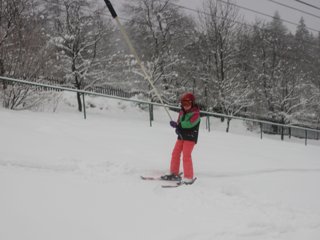 2016 Polanka