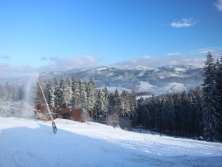 2016 Polanka
