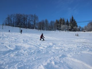 2016 Polanka